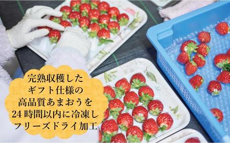 形も味もそのまま楽しめる！完熟あまおう【フリーズドライギフトセット】 (12g×16袋)