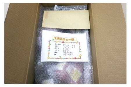 【定期便／3ヶ月連続お届け】春夏秋冬お楽しみ！むなかた旬のお任せセット(旬のフルーツ1品・野菜7～8品)【ほたるの里】_HB0031
