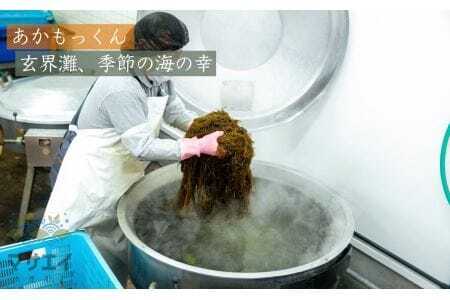 【定期便／年12回／毎月お届け】宗像のアカモク「あかもっくん」480g(80g×6個)【マサエイ水産加工】_HB0050