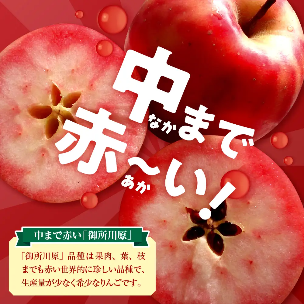 りんごジュース　中まで赤～いりんごジュース180ml×6本