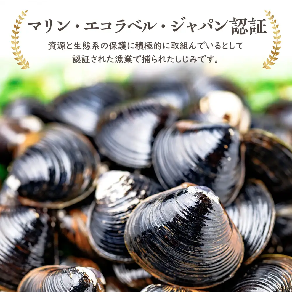しじみ　中貝 十三湖産大和しじみ 2kg（冷凍しじみ・砂抜き済）ヤマトしじみ