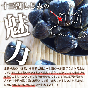 しじみ　十三湖産レトルトしじみ900g(180g×5)  大和しじみ しじみ味噌汁がお手軽に♪