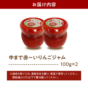 ジャム　中まで赤～いりんごのりんごジャム 100g×2瓶 