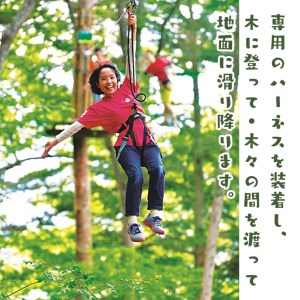 フォレストアドベンチャー・こすげ 利用優待券