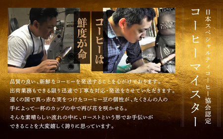 自家焙煎珈琲ドリップコーヒーアソート50杯分 ドリップ【17-12】