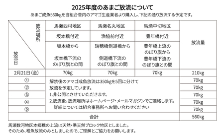 【令和8年】馬瀬川上流雑魚年釣証  1枚 【36-2】