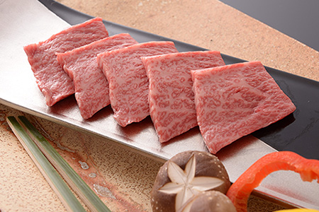 【最高級】飛騨牛 霜降り焼肉 900g【39-11】