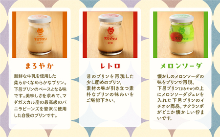 【下呂プリン】昔ながらの固めプリン多め！レトロよくばりセット 6種 (1個 85g) 計9個入【47-6】