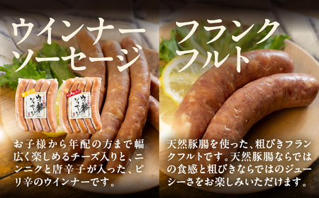 【飛騨 味職人】美味いもんバラエティセット 手作りウインナー（チーズ・ピリ辛ガーリック）フランク,スパイシーチキン,フライッシュケーゼ  【57-10】
