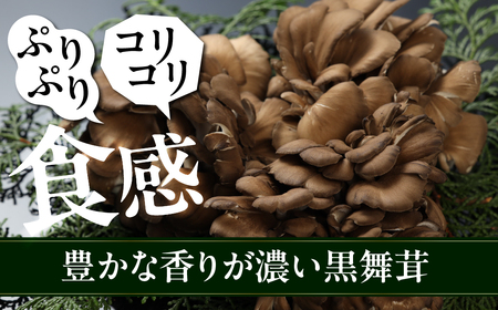 飛騨舞茸と佃煮のセット(飛騨舞茸 600g ・舞茸の佃煮 600g（100g×6袋））【60-1】
