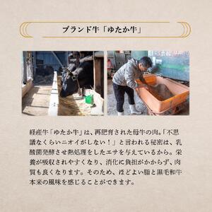 氷温熟成和牛　黒毛和牛ゆたか牛ハンバーグセット