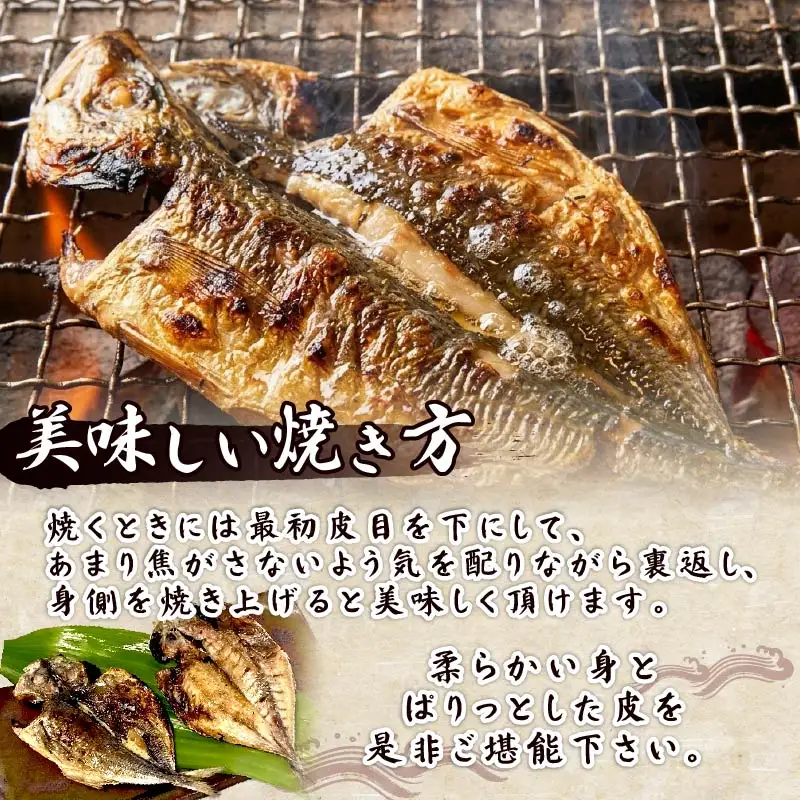 【ほうえい】真あじセットA（干物10枚入り） 干物 あじ 国産 無添加 10枚 ギフト おかず 下田市