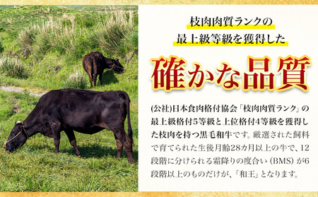 熊本県産 黒毛和牛 サーロイン ステーキ 計1kg（250g×4）《90日以内に出荷予定(土日祝除く)》国産 牛肉