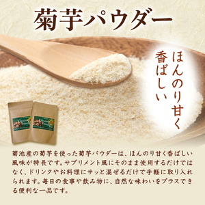菊芋パウダーセット 2袋 50g×2袋 合計100g パウダー 有限会社きくち観光物産館 《90日以内に出荷予定(土日祝除く)》熊本県 菊池市 粉末 きくいも 菊芋 健康 セット 送料無料