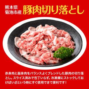 豚肉 切り落とし 合計1.6kg 400g×4パック 有限会社ハム工房TONGTONG《90日以内に出荷予定(土日祝除く)》熊本県 菊池市 豚肉 切落し 小分け 金TONG 九州産 国産 熊本県産