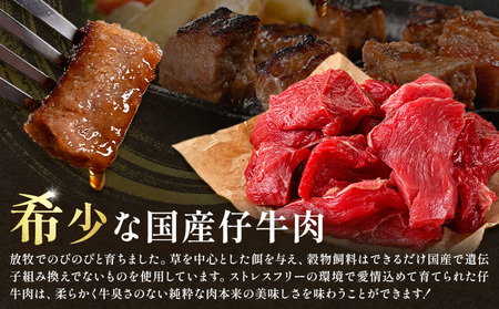菊池市産 仔牛肉詰め合わせ 合計約600g セット 宮川ファーム《90日以内に出荷予定(土日祝除く)》 部位おまかせ ランダム お肉 牛肉 ジャージー仔牛肉 国産 熊本県産 九州産 冷凍 送料無料
