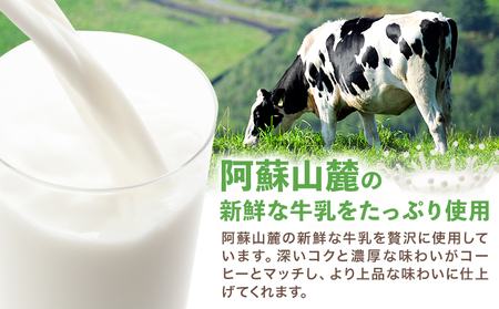 常温保存可能 コーヒー 250ml × 24本 合同会社たべたせいか《30日以内に出荷予定(土日祝除く)》熊本県 菊池市 コーヒー牛乳 カフェオレ 珈琲 らくのうマザーズ 薫るエスプレッソ ドリンク 紙パック 熊本県産 国産