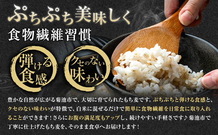 熊本県菊池産 もち麦 計1kg（200g×5パック）七城物語 高野さんちのもち麦七城物語 高野さんちのもち麦 計1kg (200g×5パック) 株式会社有機農場《30日以内に出荷予定(土日祝除く)》熊本県 菊池市 熊本県菊池産 もち麦 モチ麦 ダイシモチ 小分け チャック付き 国産 九州産 熊本県産 送料無料
