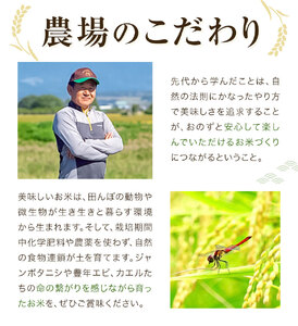 七城物語 有機小麦粉 薄力粉 チクゴイズミ 合計2kg 500g×4袋 株式会社有機農場《30日以内に出荷予定(土日祝除く)》熊本県 菊池市 七城物語 有機小麦粉 小麦粉 国産 九州産 熊本県産