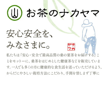 乾燥おじさんのごぼう茶 3袋セット 2種類 セット 生姜ごぼう茶 牛蒡茶 飲み比べ 茶葉 ティーパック 送料無料《30日以内に出荷予定(土日祝除く)》