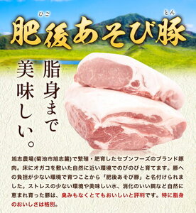 肥後あそび豚 ロースブロック 1kg×2パック 合計 2kg 《30日以内に出荷予定(土日祝除く)》熊本県 菊池市 ぶた ブタ 豚肉 肉 ブランド豚 ロース ブロック 国産 九州産 熊本県産 菊池市産 冷凍 送料無料