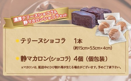 濃厚テリーヌショコラ＆静マカロンショコラセット_LG-C203_(都城市) カカオ分72％ チョコレート好きに 洋菓子 おやつ スイーツ 冷凍 