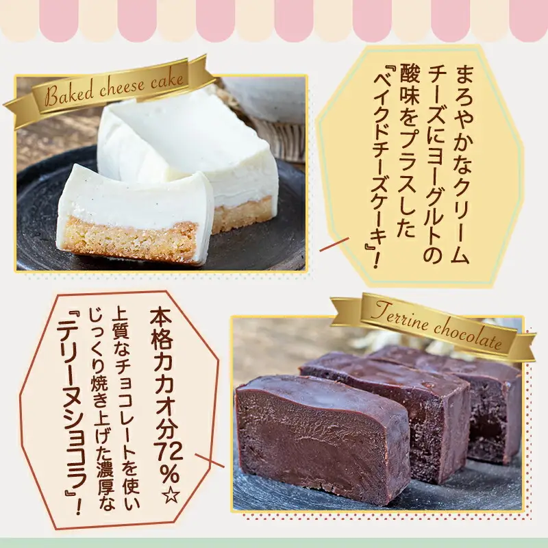 ベイクドチーズケーキ＆濃厚テリーヌショコラセット〔AAJ-C2-003〕_ (都城市) カカオ分72％ チョコレート ヨーグルトの酸味 クリームチーズ 洋菓子 お菓子 スイーツ 四角いケーキ 冷凍 おやつ ショコラケーキ 