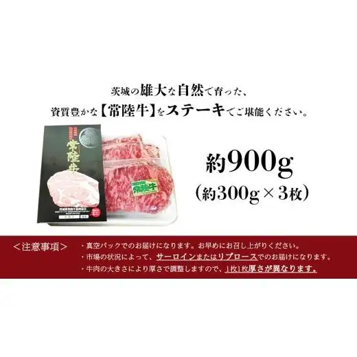 銘柄黒毛和牛【常陸牛ステーキ】約300g×3枚( 茨城県共通返礼品 )