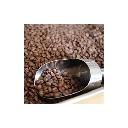 自家焙煎 レギュラー コーヒー ( 400g ) ドリップコーヒー バッグ ( 10g × 10 )と ヘンプバッグ セット