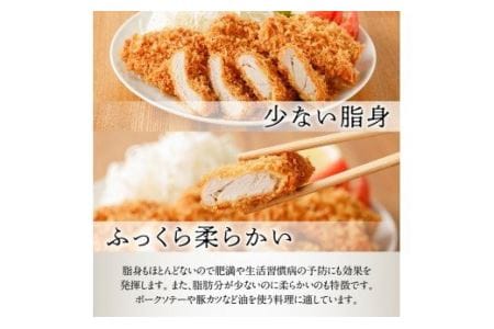 豚肉 宮崎県産豚肉「川南ポーク」ヒレブロック1.8kg 国産 フィレ