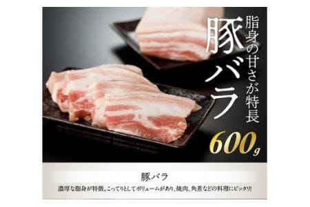 宮崎県産豚肉「川南ポーク」バラ、カタロース、ヒレ３種ブロック計1.8kg 【 川南町産 豚 ブロック 真空急速冷凍 送料無料 】