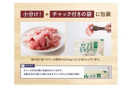 宮崎県産ブランドポーク豚肉 小間切れ3.4kg(340g×10袋)【 国産 九州産 豚肉 きじょん山豚 小分け 】