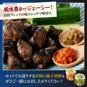 鶏肉 炭火焼 宮崎の技セット 【塩味 赤ゆずこしょう 青ゆずこしょう】