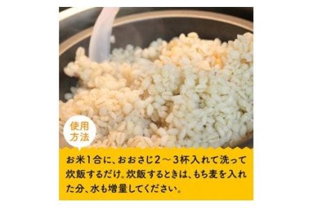 令和7年産 もち麦 2.5kg（500g×5袋） 【 ふるさと納税 国産 麦 もち麦 食物繊維 数量限定 宮崎県産 川南町産 送料無料 】
