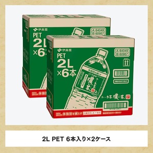 お～いお茶 濃い茶2L×6本×2ケース 【 お茶 緑茶 飲料お茶 ソフトドリンクお茶 ペットボトルお茶 お茶 備蓄お茶 お茶 お～いお茶 】