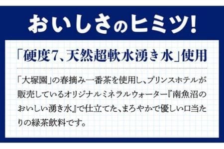 The FIRST GREEN TEA(500ml×24本)【お茶 緑茶 飲料お茶 プリンスホテル 九州お茶 宮崎お茶 備蓄お茶 川南町】