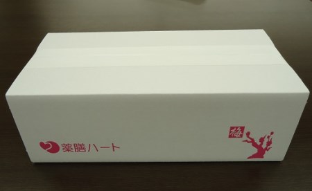 和漢入り梅エキス 葯膳梅 H001-063