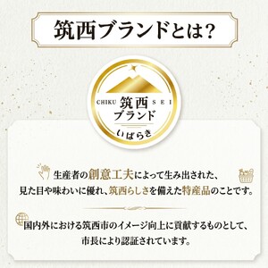 【 JA 北つくば 】 筑西ブランド 認証品 幸水 5kg 2026年産 先行予約