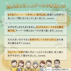 【 JA 北つくば 】 筑西ブランド 認証品 豊水 10kg 2026年産 先行予約