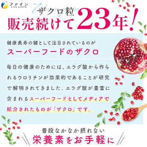 F-62　[ファイン]ザクロ粒　２個セット