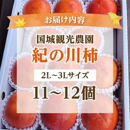 【2026年度発送分】国城観光農園の紀の川柿11～12個(2L～3Lサイズ)_柿　紀の川柿　橋本市産柿　渋柿_【1077105】