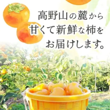 柿【2026年度発送分】ケーズファーム　富有柿　11～13個入　約3.5kg【1017760】