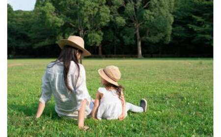 蚊取り線香 ・ 虫よけスプレー キンエイ 行楽セット２ / 線香 蚊とり 蚊よけ 虫除け みかん果皮配合 【kie931-ko-2A】
