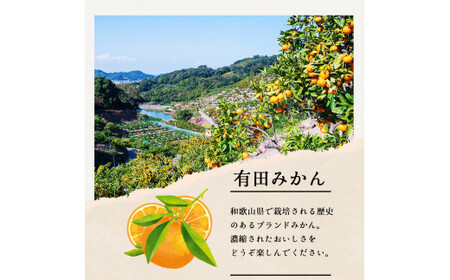 有田 みかん 特選 赤秀 3kg 【 創業120年 農家直送 】 / 温州みかん 有田みかん 甘い ギフト 贈答 高級 和歌山 柑橘 ※2026年11月中旬より2027年1月下旬に順次発送予定 【isy004-gif-3B】