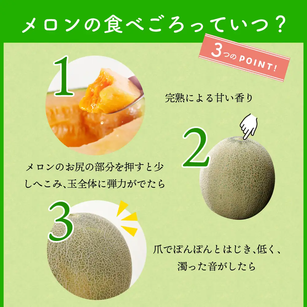 【2026年8月前半発送】 メロン 青肉 約5kg (4～6玉) 青森県産 メロン