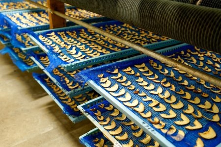 【児玉酒店】ドライフルーツ りんご 30g 4袋 120g 林檎 熊本 阿蘇 小国郷 わいた 岳の湯 地熱 蒸気 地熱乾燥 ご自宅用 お取り寄せ 贈答 ギフト 優しい甘さ 素材の美味しさ