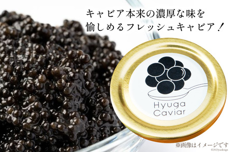 キャビア 日向キャビア (Hyuga Caviar) 10g 桐箱入り [ウィズ・クリエイティブ 宮崎県 日向市 452060890]