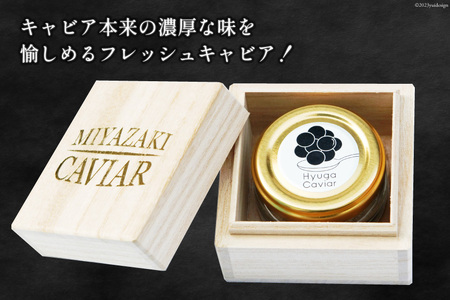 キャビア 日向キャビア (Hyuga Caviar) 20g 桐箱入り [ウィズ・クリエイティブ 宮崎県 日向市 452060892]