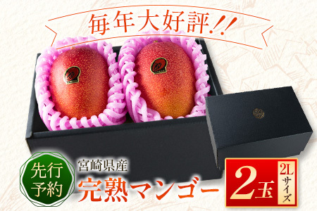 ＜先行予約＞宮崎県産 完熟マンゴー 2L×2玉 数量限定 人気 フルーツ 果物 ギフト【B510-26】
