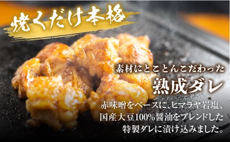 プレミアムホルモン セット 3種 詰め合わせ 計600g 牛ホルモン 白トロ ギアラ サンドミノ ギアラ芯 味付きホルモン 焼くだけ絶品 とろける脂 簡単調理[Q793x]